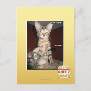 Idioot Vrienden Briefkaart