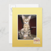 Idioot Vrienden Briefkaart (Voorkant / Achterkant)