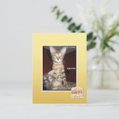 Idioot Vrienden Briefkaart (Staand voorkant)