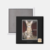 Idioot Vrienden Magneet (Voorkant / Achterkant)