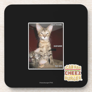 Idiot Friends Drankjes Onderzetter