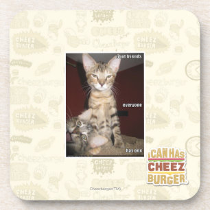 Idiot Friends Drankjes Onderzetter