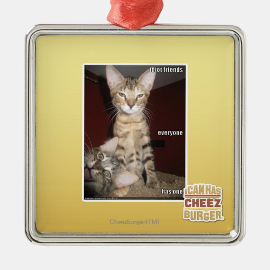 Idiot Friends Metalen Ornament (Voorkant)