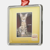 Idiot Friends Metalen Ornament (Links)