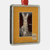 Idiot Friends Metalen Ornament (Rechts)