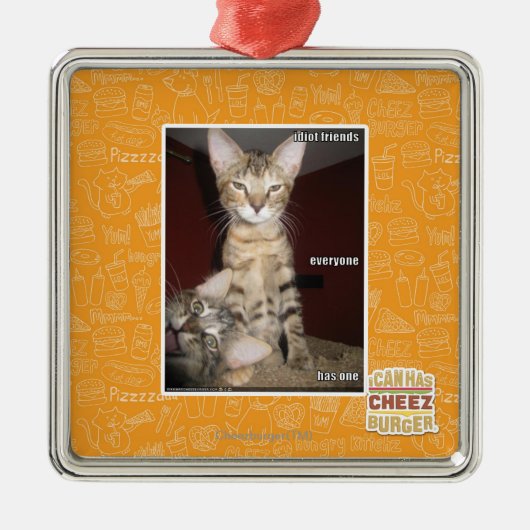 Idiot Friends Metalen Ornament (Voorkant)