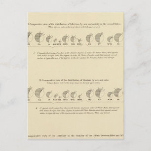 Idiots, Statistical US Lithograaf 1870 Briefkaart