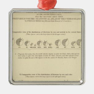 Idiots, Statistical US Lithograaf 1870 Metalen Ornament