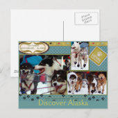 Iditarod Loyal Companions Briefkaart (Voorkant / Achterkant)