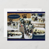 Iditarod Postcard Briefkaart (Voorkant / Achterkant)