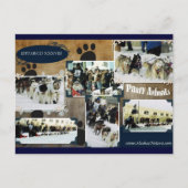 Iditarod Postcard Briefkaart (Voorkant)