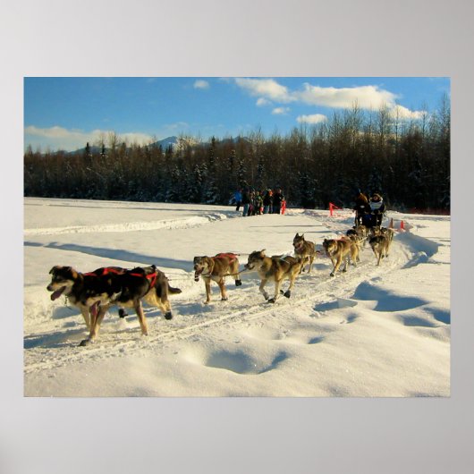 Iditarod Trail Sled Dog Race Poster (Voorkant)