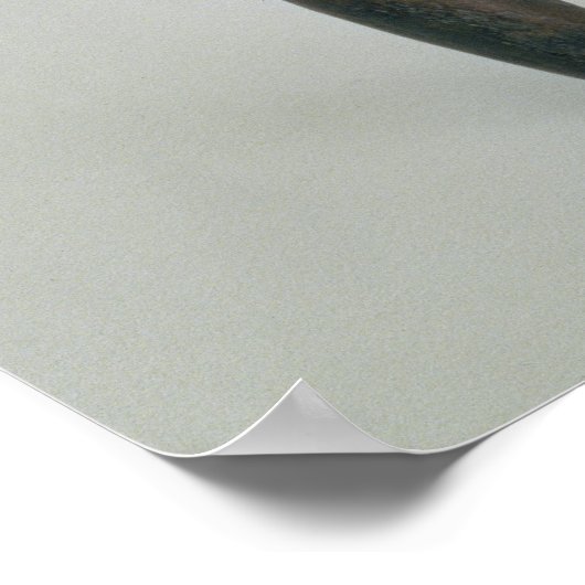 Idol, vierde millennium BC Poster (Hoek)