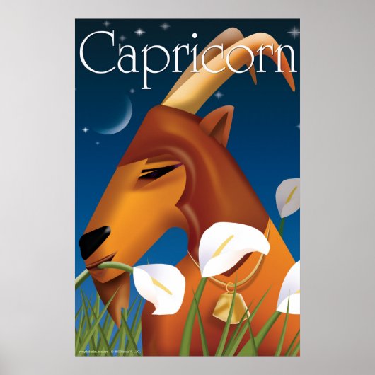 Idolz Capricorn Poster (Voorkant)