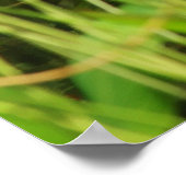 Idyllic middag poster (Hoek)