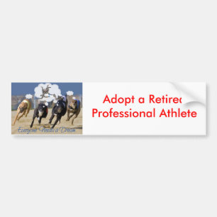 Iedereen heeft een droom nodig bumpersticker