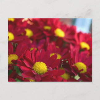 Iedereen heeft een moeder briefkaart