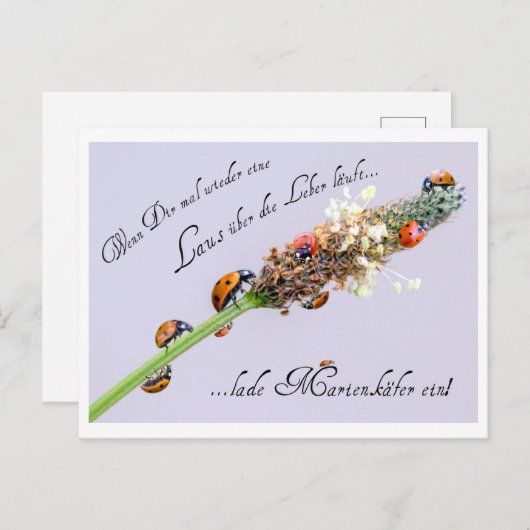 Iedereen kan een beetje extra geluk gebruiken! briefkaart (Voorkant / Achterkant)