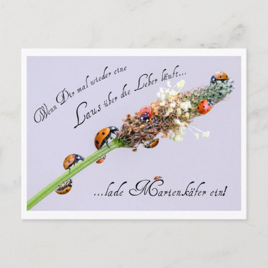 Iedereen kan een beetje extra geluk gebruiken! briefkaart (Voorkant)