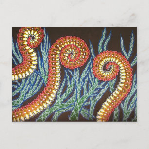 Iedereen komt ergens uit briefkaart