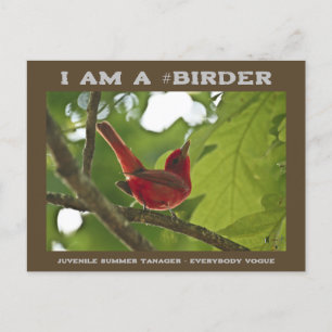 Iedereen Vogue Juvenile Summer Tanager Vogelaar Briefkaart
