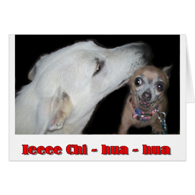 Ieee Chi hua hua (Devant horizontal)