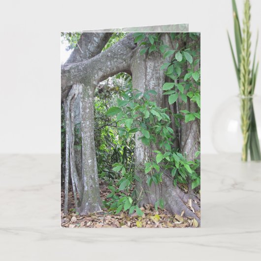 Iemand? Kaart (Voorkant)