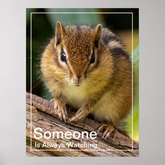 Iemand kijkt naar Chipmunk Poster (Voorkant)