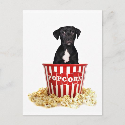 Iemand pup-Corn? Briefkaart (Voorkant)