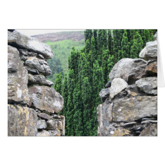 Ierland 4