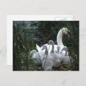 Ierland Briefkaart (Voorkant / Achterkant)