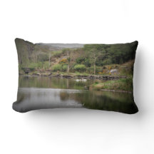 Ierland, County Cork, Lake, Swans, Photography