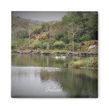 Ierland, County Cork, Lake, Swans, Photography