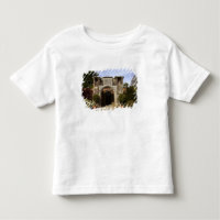 Ierland, de ommuurde tuin van Dromoland Castle