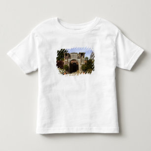 Ierland, de ommuurde tuin van Dromoland Castle Kinder Shirts