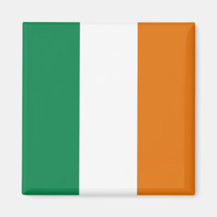 Ierland Flag Magnet Magneet