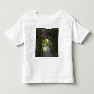 Ierland, het Dromoland Castle heel groen Kinder Shirts