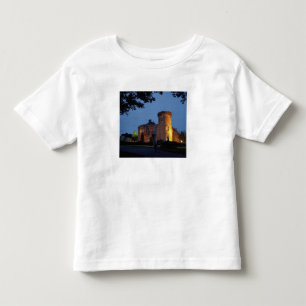 Ierland, het Dromoland Castle verlicht in de schem Kinder Shirts