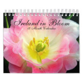 Ierland in Bloom Calendar Kalender (Hoes)