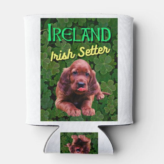 Ierland Irish Setter Clovers Shamrocks Blikjeskoeler (Achterkant)