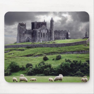 Ierland Muismat