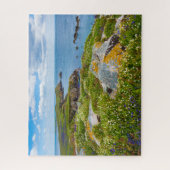 Ierland, Saltee Islands, Legpuzzel (Verticaal)