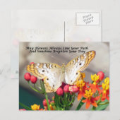 Iers Briefkaart voor zinking (White Peacock) (Voorkant / Achterkant)