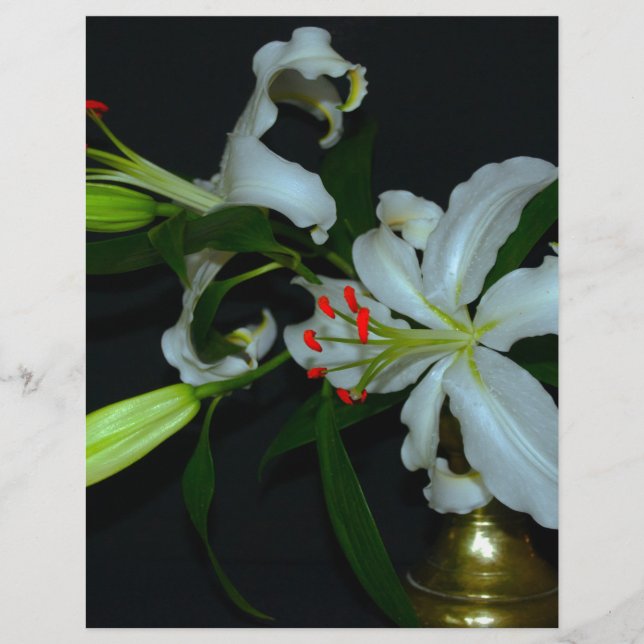 Iers Collectie voor ontwerp-messing en ventilator (Voorkant)