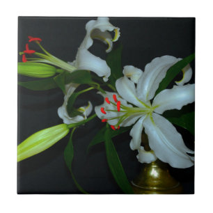 Iers Collectie voor ontwerp-messing en ventilator Tegeltje