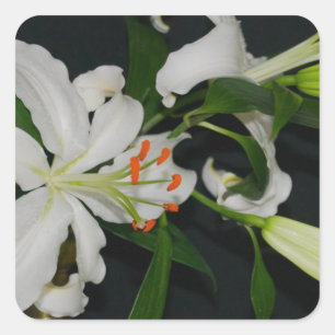 Iers Collectie voor ontwerp-messing en ventilator Vierkante Sticker