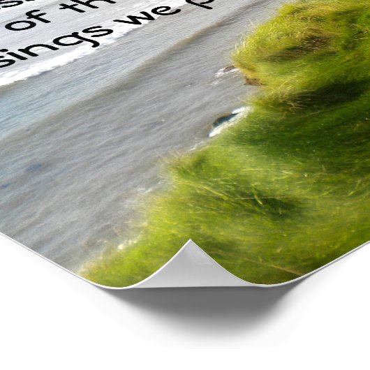 Iers kustbeestje poster (Hoek)