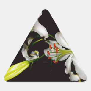 Iers ontwerp - Collectie voor messing en bloem Driehoek Sticker