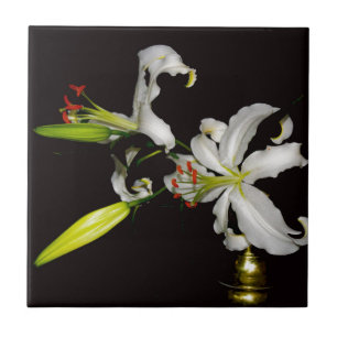 Iers ontwerp - Collectie voor messing en bloem Tegeltje