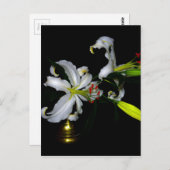 Iers ontwerp-messing en ventilatorontwerp briefkaart (Voorkant / Achterkant)